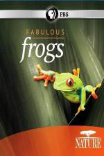 Watch Nature: Fabulous Frogs Wolowtube