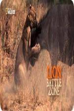 Watch National Geographic Wild Lion Battle Zone Wolowtube