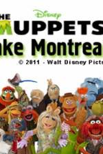 Watch The Muppets All-Star Comedy Gala Wolowtube