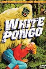 Watch White Pongo Wolowtube