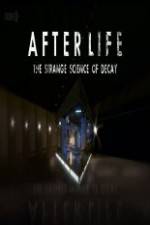 Watch After Life: The strange Science Of Decay Wolowtube