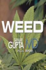 Watch CNN Weed Sanjay Gupta Report Wolowtube