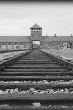 Watch AUSCHWITZ: ORDERS AND INITIATIVES Wolowtube