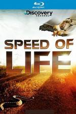 Watch Speed of Life Wolowtube