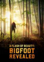 Watch A Flash of Beauty: Bigfoot Revealed Wolowtube
