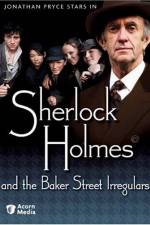 Watch Sherlock Holmes and the Baker Street Irregulars Wolowtube