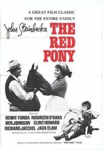 Watch The Red Pony Wolowtube