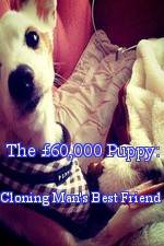 Watch The 60,000 Puppy: Cloning Man's Best Friend Wolowtube