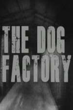 Watch The Dog Factory Wolowtube
