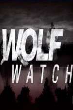 Watch Wolf Watch Wolowtube