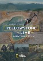 Watch Yellowstone Live Wolowtube
