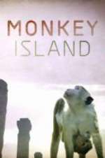 Watch Monkey Island Wolowtube