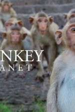 Watch Monkey Planet Wolowtube