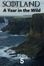 Watch Scotland: A Wild Year Wolowtube