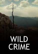 Watch Wild Crime Wolowtube