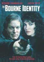 Watch The Bourne Identity Wolowtube
