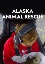Watch Alaska Animal Rescue Wolowtube