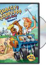 Watch Shaggy & Scooby-Doo Get a Clue Wolowtube