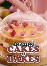 Watch Amazing Cakes & Bakes Wolowtube
