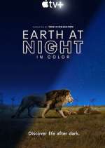 Watch Earth At Night In Color Wolowtube