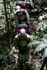 Watch Walking The Amazon Wolowtube