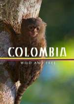 Watch Colombia: Wild and Free Wolowtube