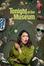 Tonight At The Museum wolowtube