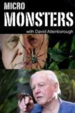 Watch Micro Monsters 3D with David Attenborough Wolowtube