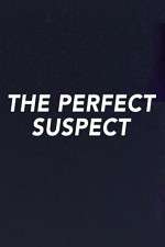 Watch The Perfect Suspect Wolowtube