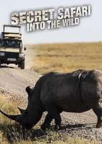 Watch Secret Safari: Into the Wild Wolowtube