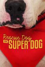 Watch Rescue Dog to Super Dog (US) Wolowtube
