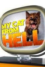 Watch My Cat from Hell Wolowtube