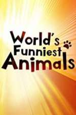 The World\'s Funniest Animals wolowtube