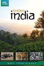 Watch Hidden India Wolowtube