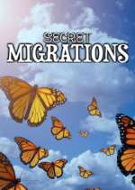 Watch Secret Migrations Wolowtube