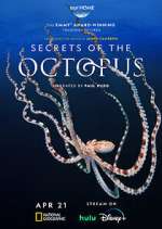 Secrets of the Octopus wolowtube