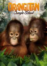 Watch Orangutan Jungle School Wolowtube
