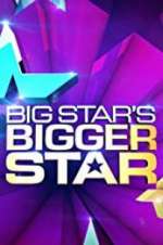 Watch Big Star\'s Bigger Star Wolowtube