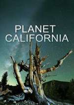 Watch Planet California Wolowtube