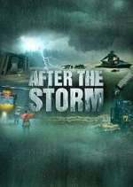 Watch After the Storm Wolowtube