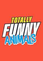 Watch Totally Funny Animals Wolowtube