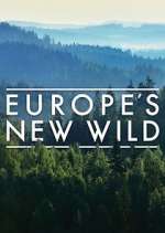 Watch Europe's New Wild Wolowtube