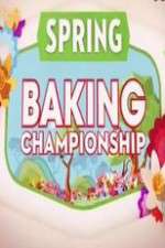Spring Baking Championship wolowtube
