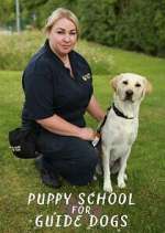 Watch Puppy School for Guide Dogs Wolowtube