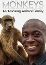 Watch Monkeys: An Amazing Animal Family Wolowtube