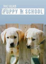 Watch Dog Squad: Puppy School Wolowtube