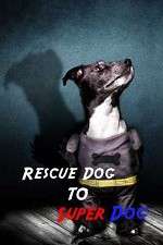 Watch Rescue Dog to Super Dog Wolowtube