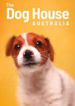 Watch The Dog House Australia Wolowtube