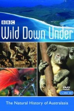 Watch Wild Down Under Wolowtube