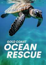 Watch Gold Coast Ocean Rescue Wolowtube